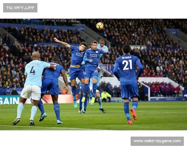 松鼠闯入球场致赫尔城队与布里斯托尔城队比赛暂停8分钟